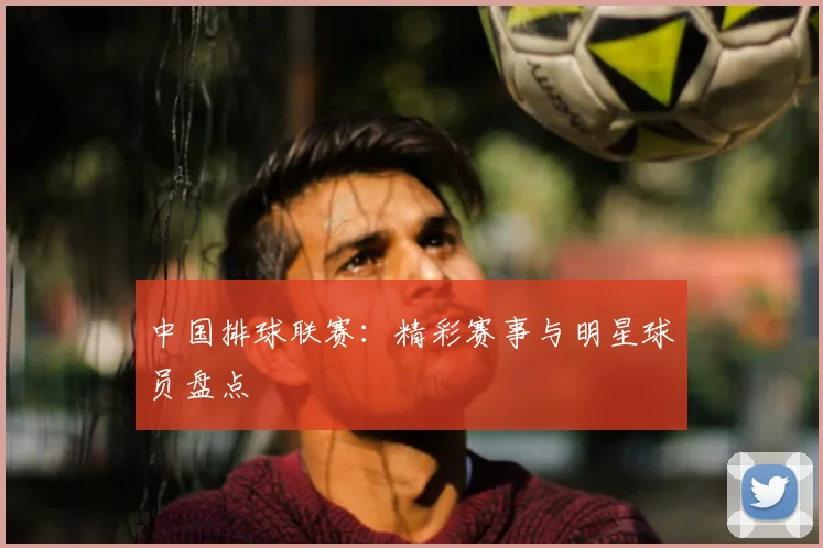 中国排球联赛：精彩赛事与明星球员盘点