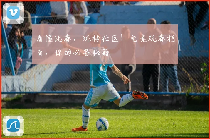 看懂比赛，玩转社区！电竞观赛指南，你的必备秘籍