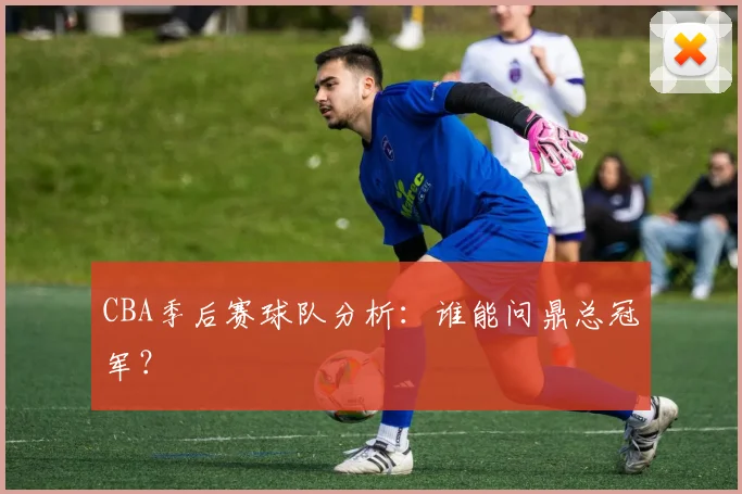 CBA季后赛球队分析：谁能问鼎总冠军？